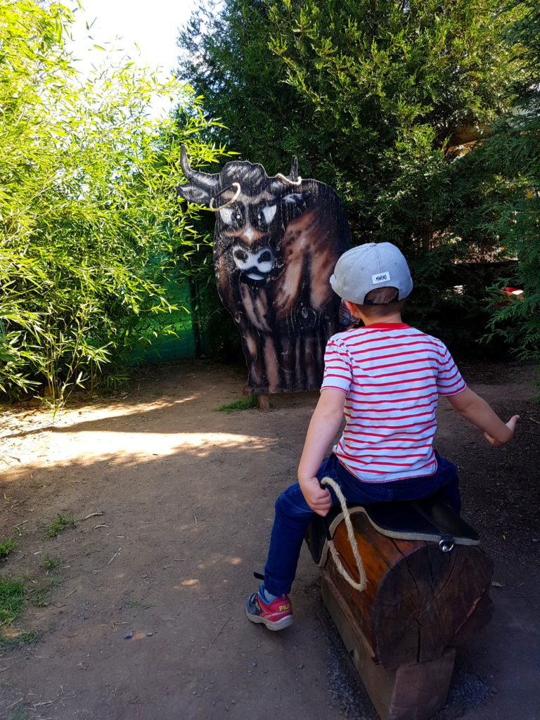 Junge beim Lasso Werfen im Erlebnistierpark Memleben
