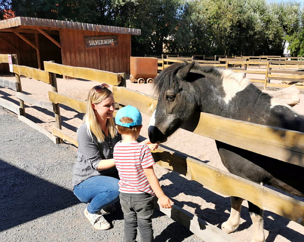 Pony füttern und streicheln im Tierpark Melmeben